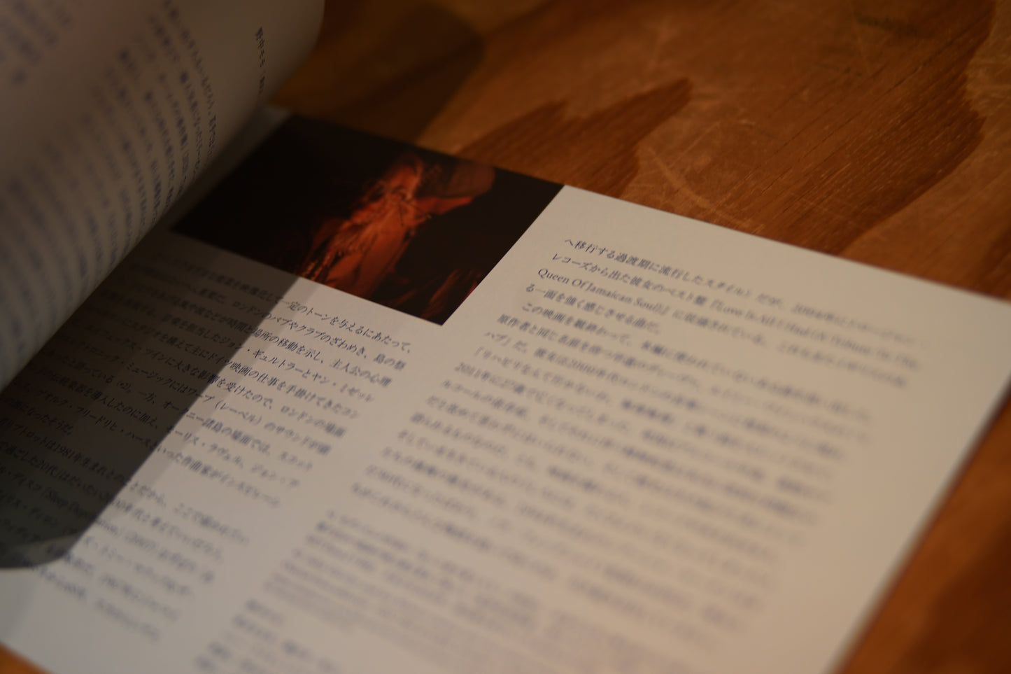 映画『おくびょう鳥が歌うほうへ』/THE OUTRUN パンフレット