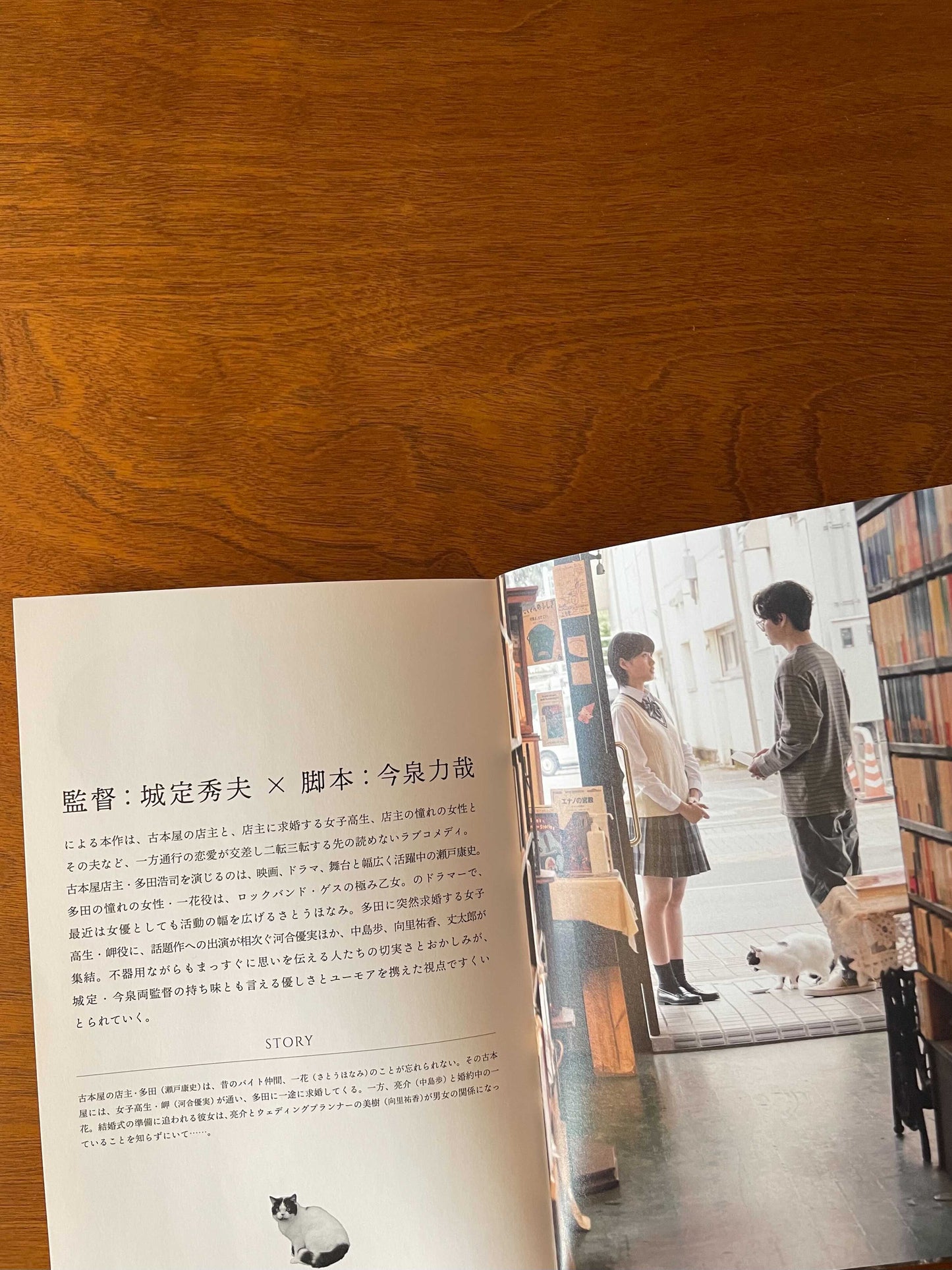 映画「愛なのに」パンフレット