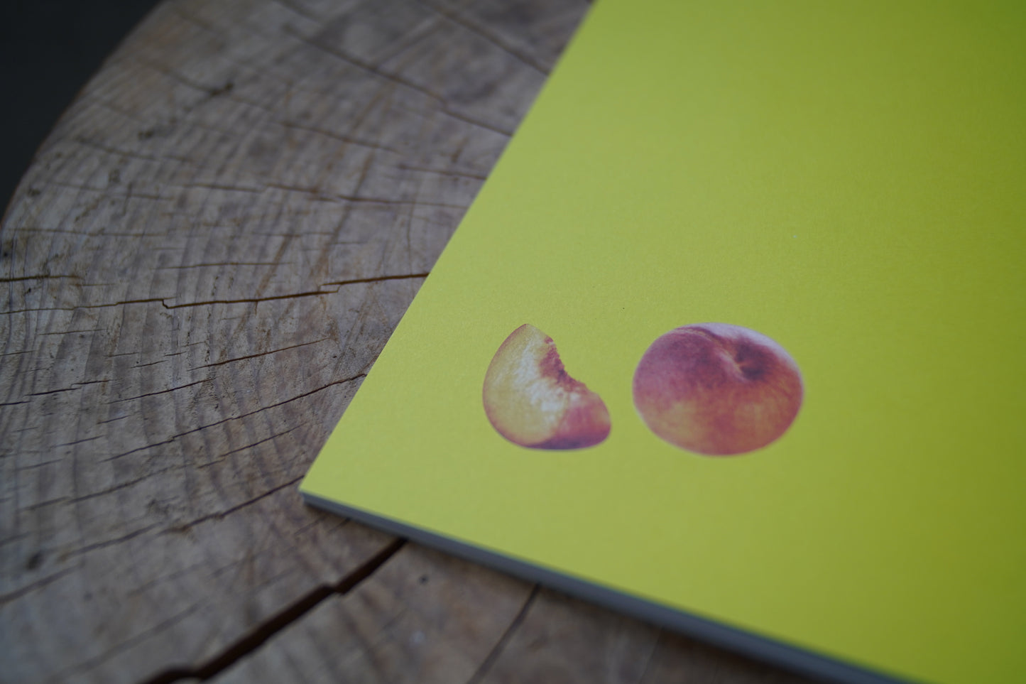 映画『代々⽊ジョニーの憂鬱な放課後』 パンフレット