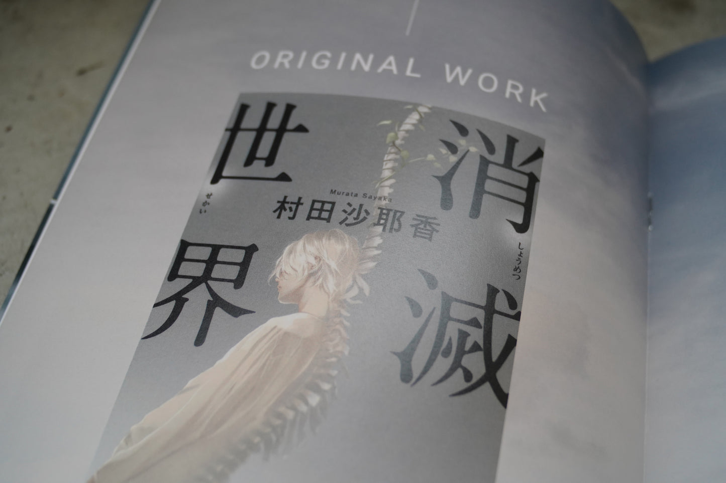 映画『消滅世界』パンフレット