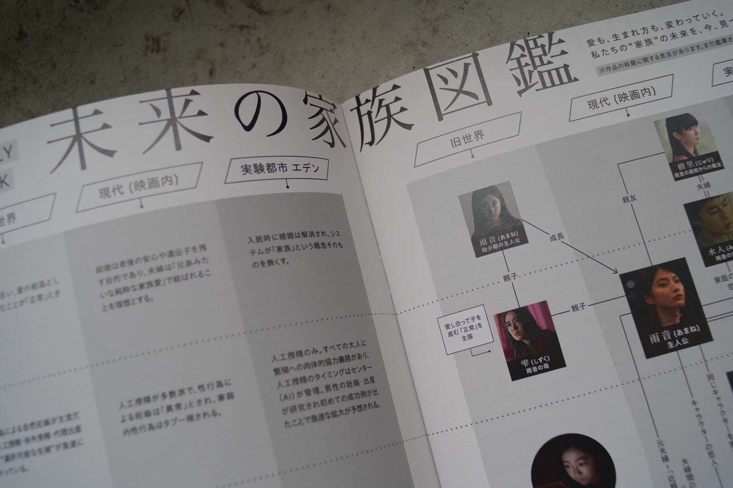 映画『消滅世界』パンフレット