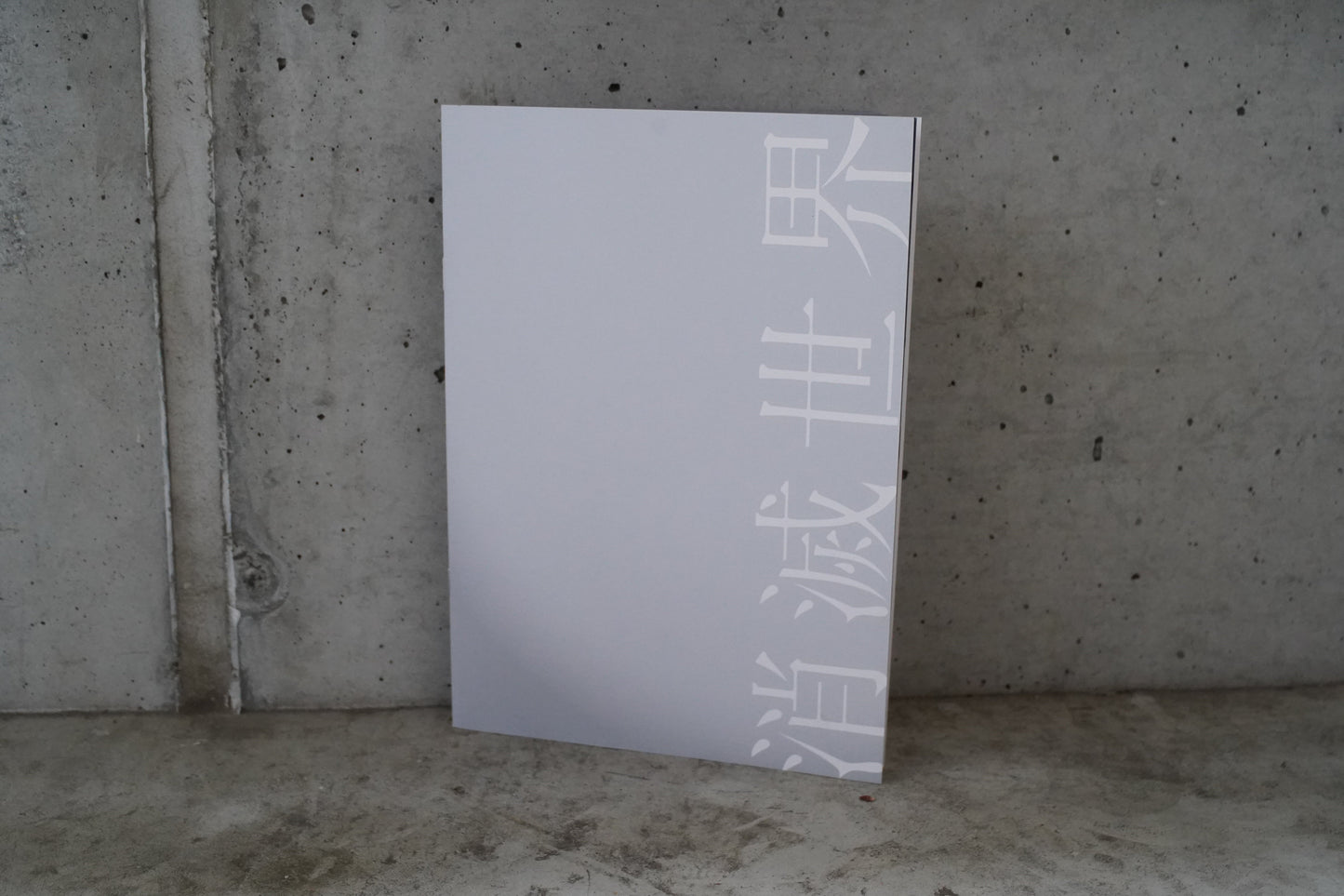 映画『消滅世界』パンフレット