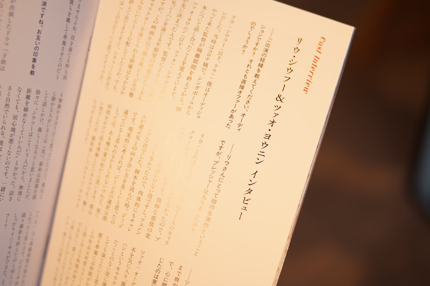 映画『ピアス 刺心』パンフレット