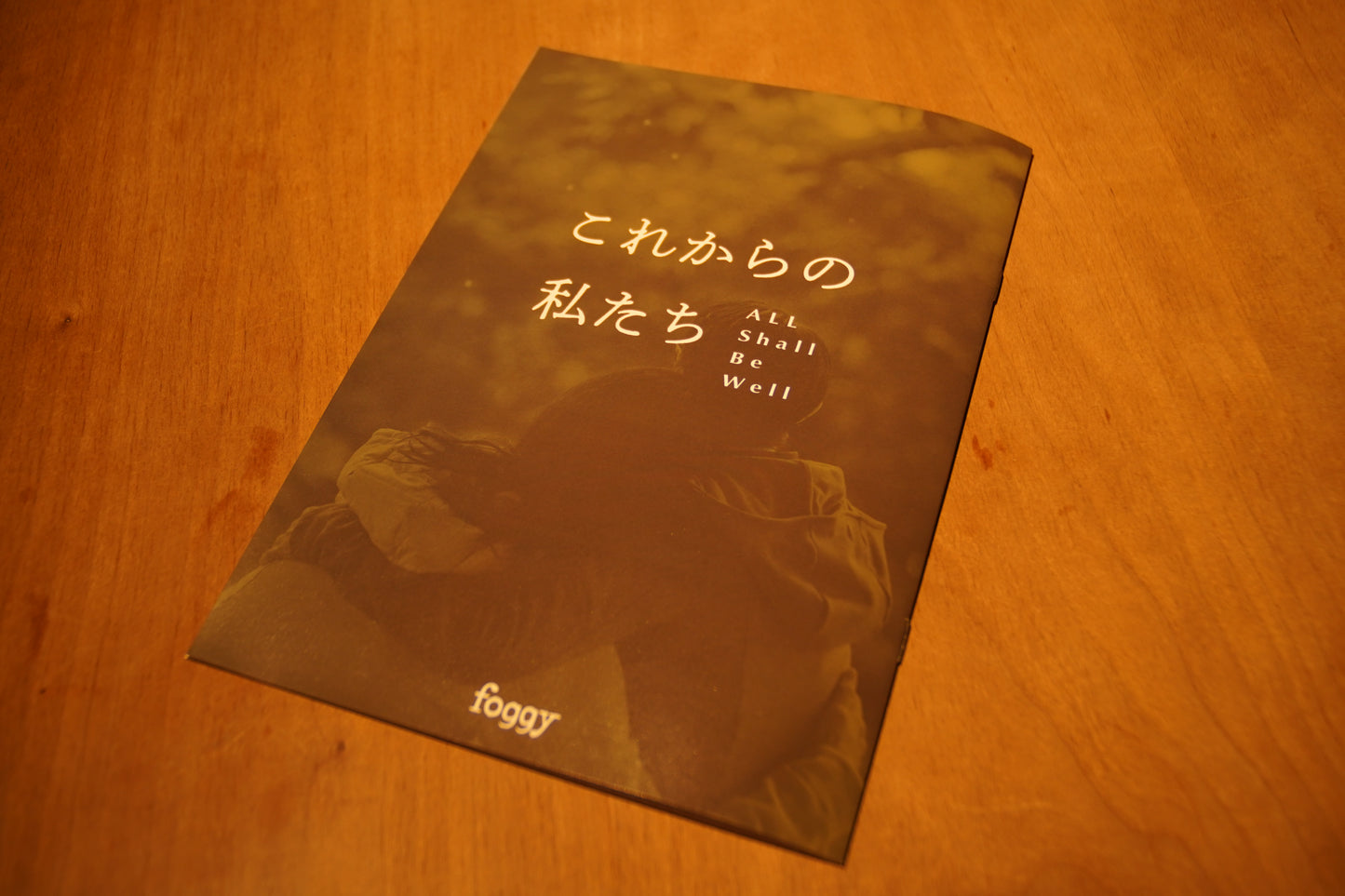 映画『これからの私たち - All Shall Be Well』／從今以後 パンフレット