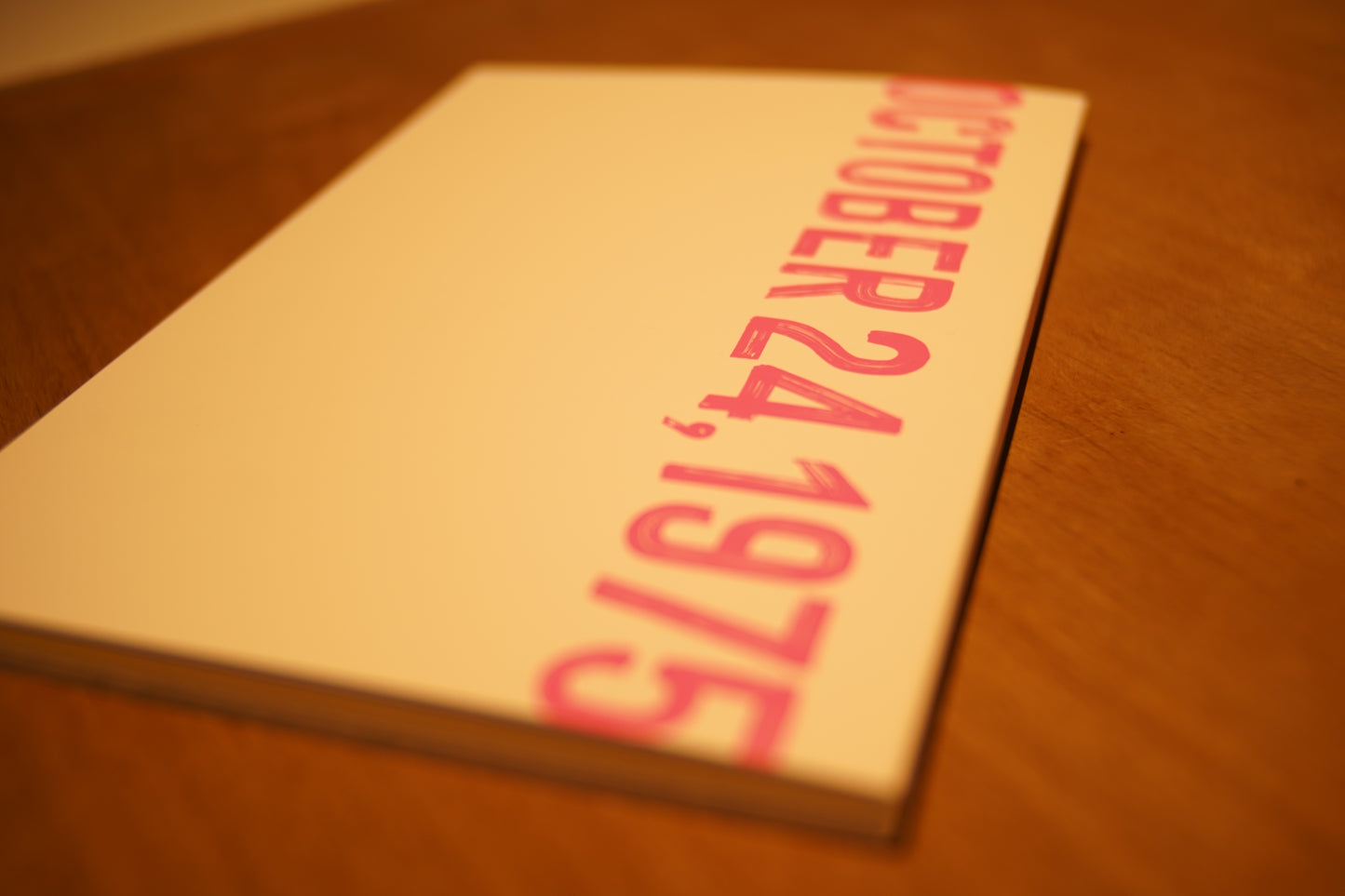 映画『女性の休日』／The Day Iceland Stood Still パンフレット