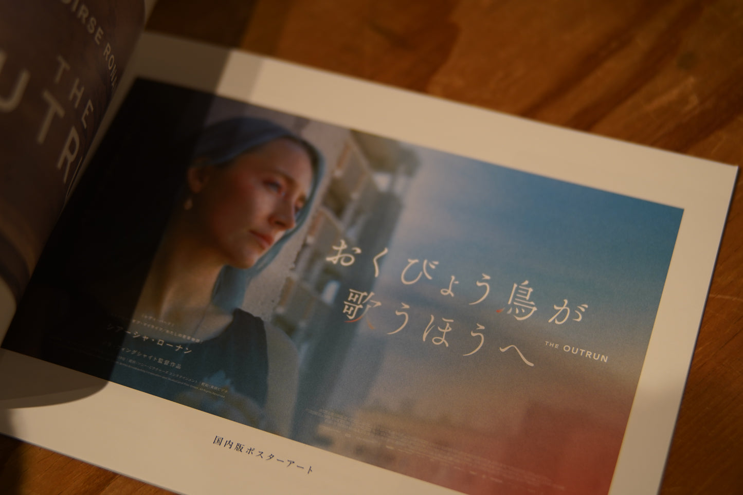 映画『おくびょう鳥が歌うほうへ』／THE OUTRUN パンフレット