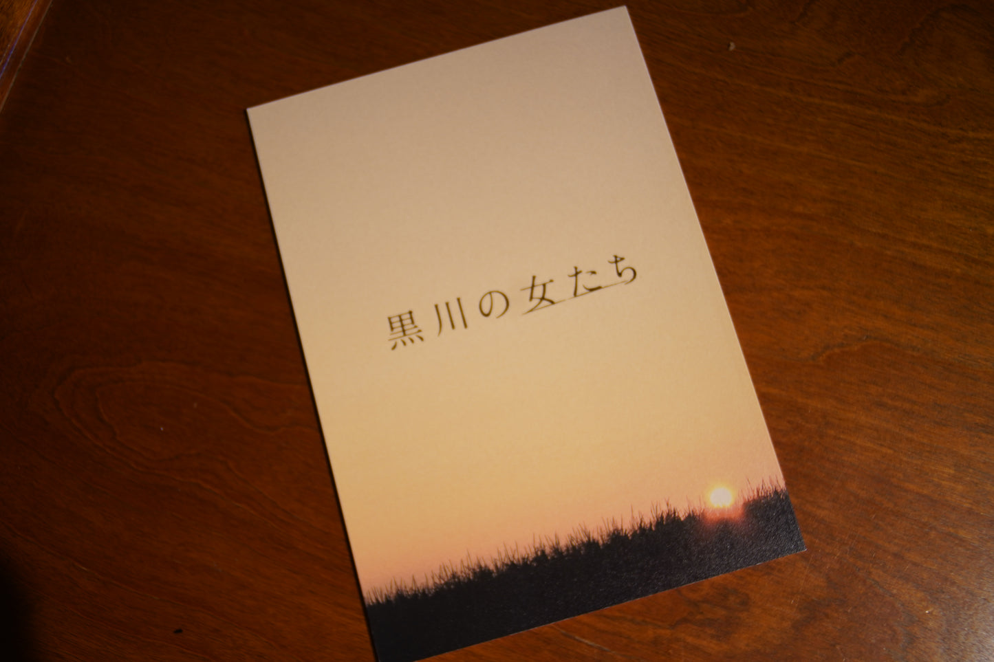 映画『黒川の女たち』パンフレット