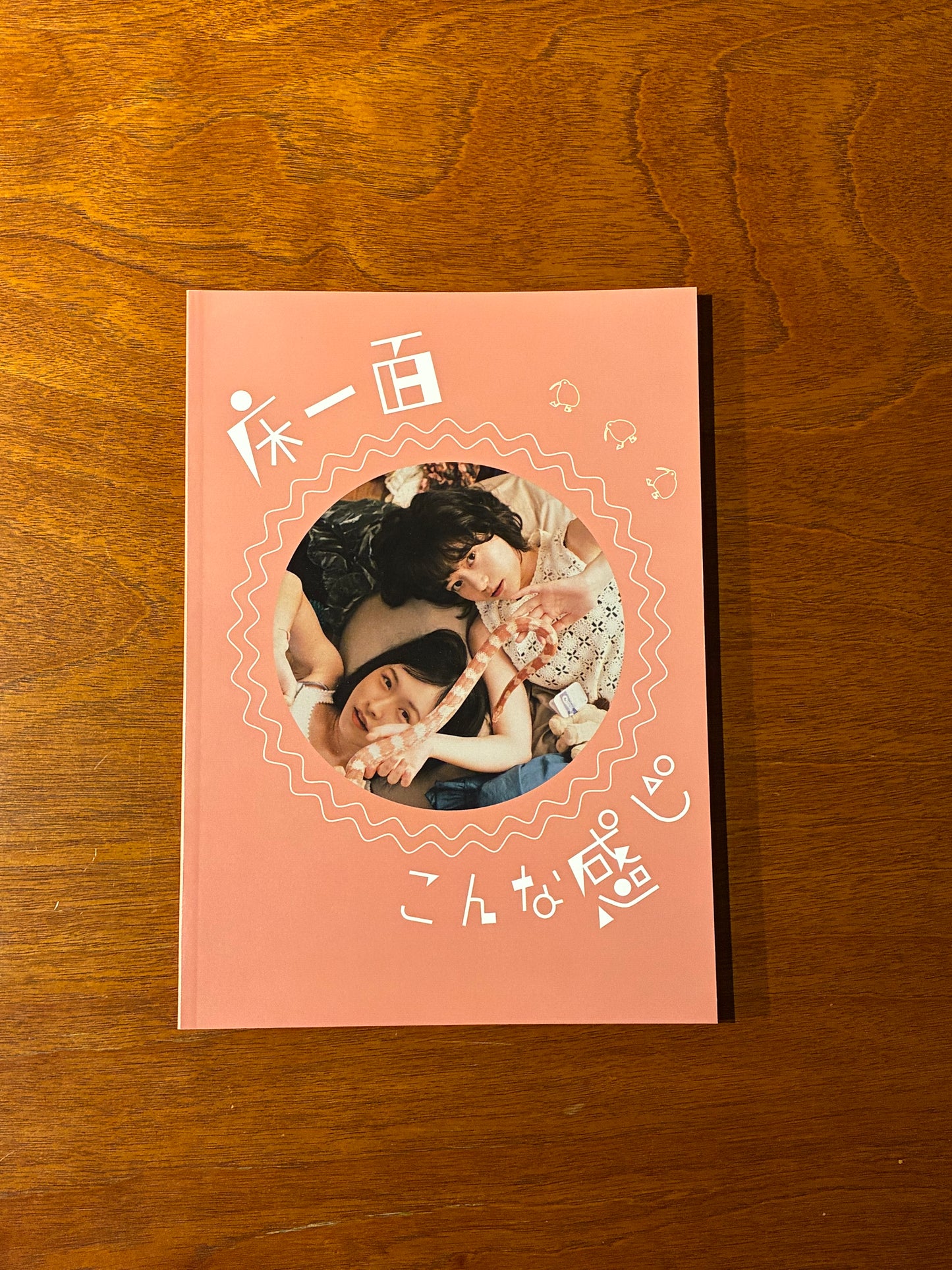 映画『床一面こんな感じ』パンフレット