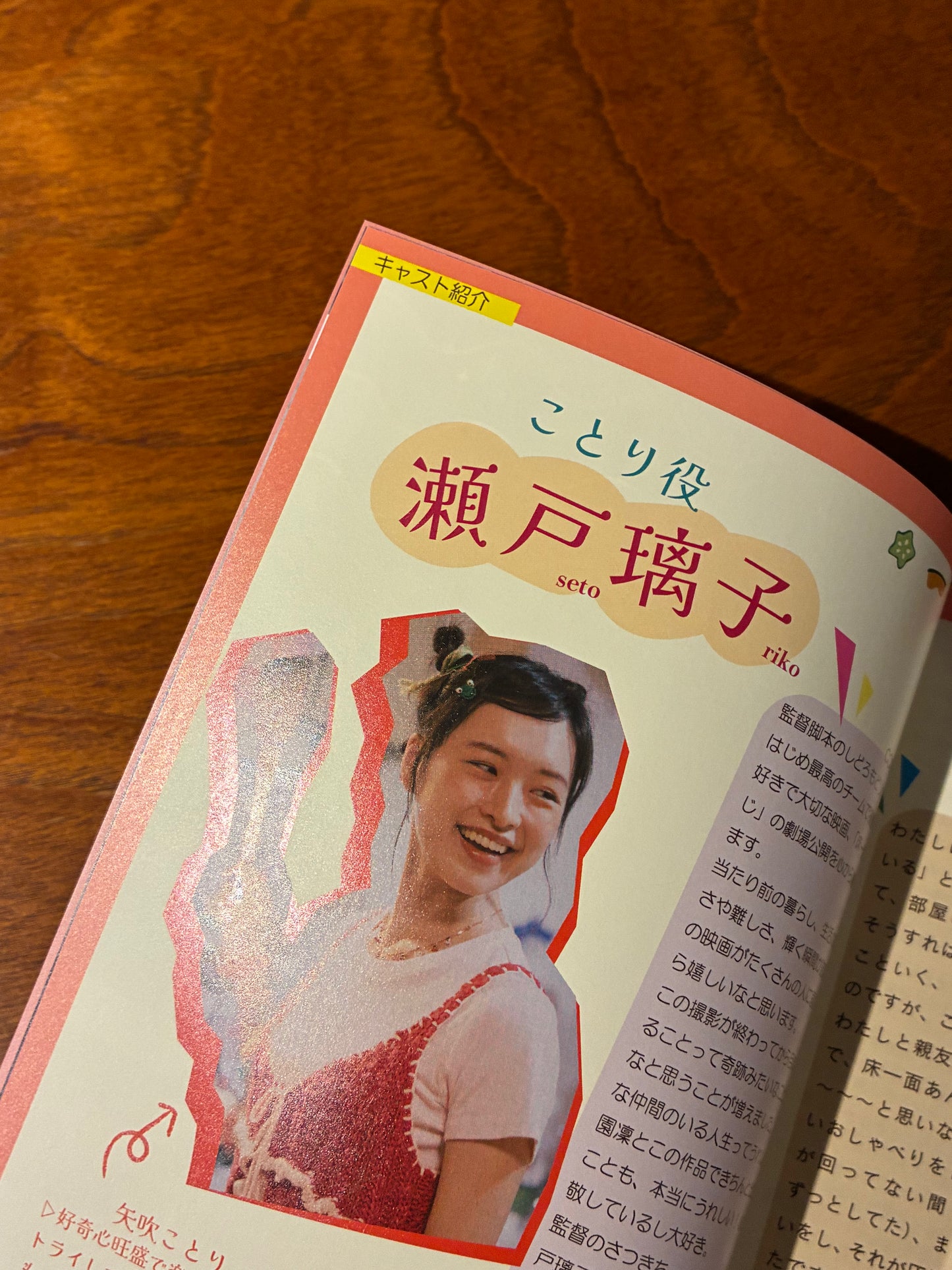 映画『床一面こんな感じ』パンフレット