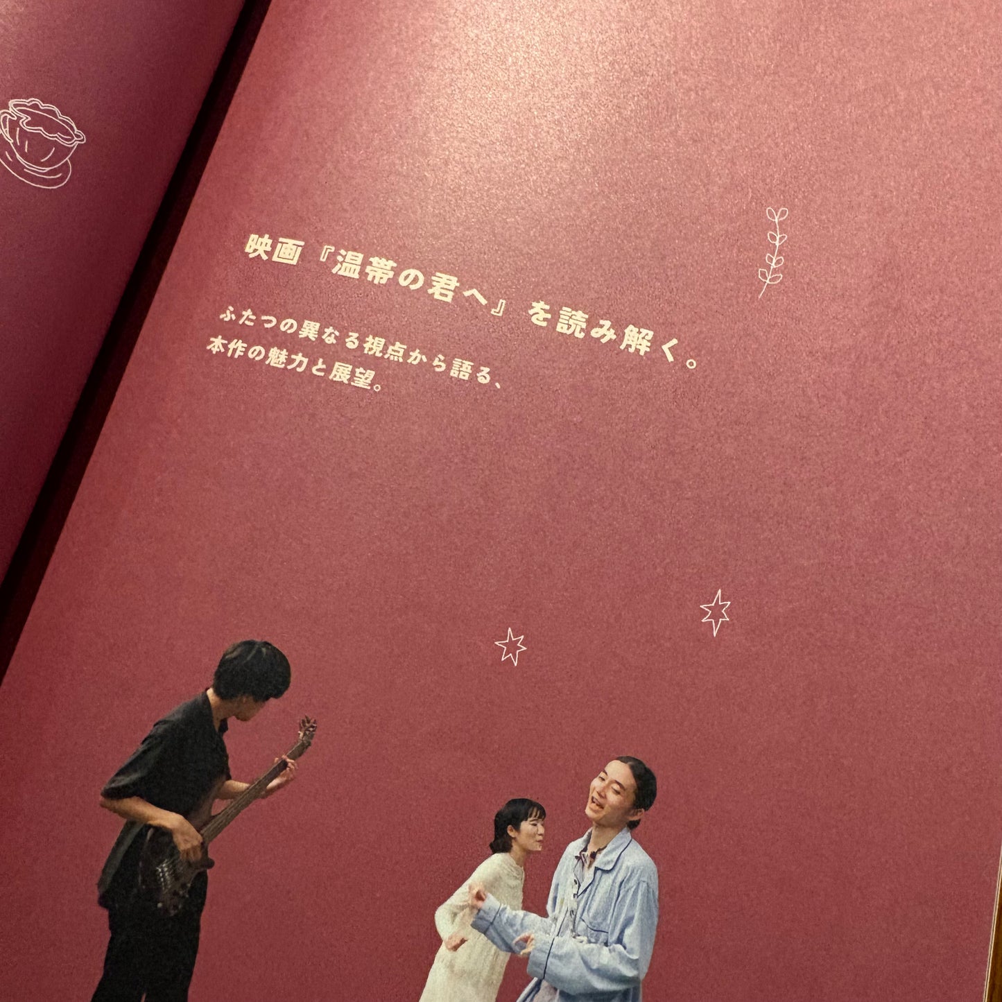 映画『温帯の君へ』パンフレット